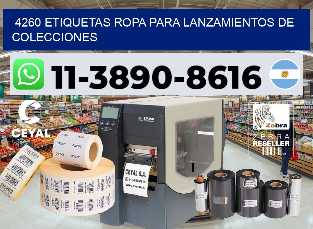 4260 Etiquetas ropa para lanzamientos de colecciones