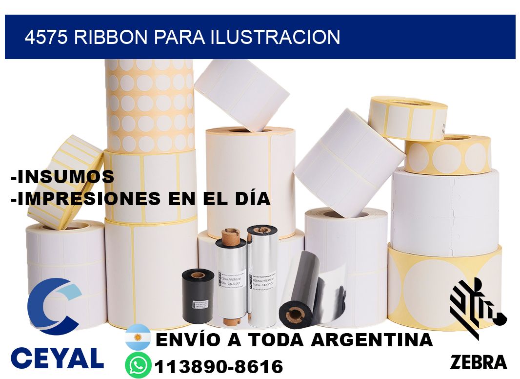 4575 ribbon para ilustracion