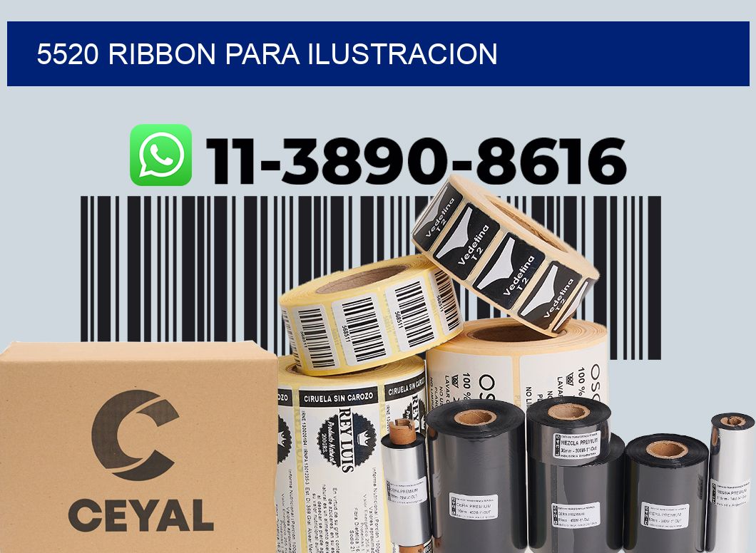 5520 ribbon para ilustracion