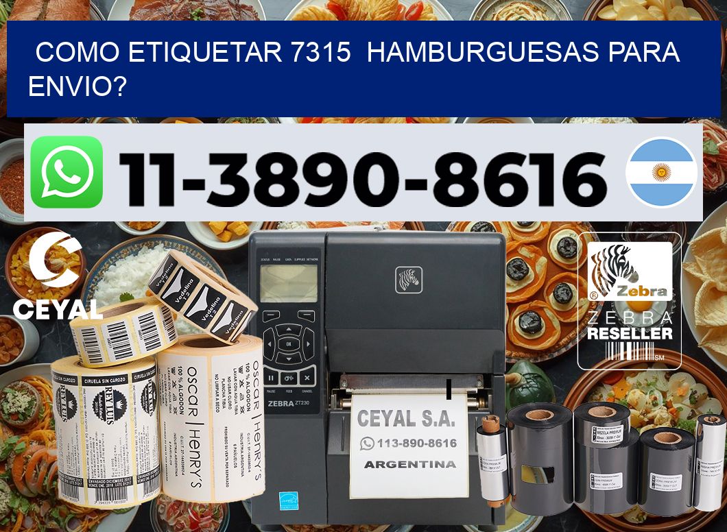 como etiquetar 7315  hamburguesas para envio?