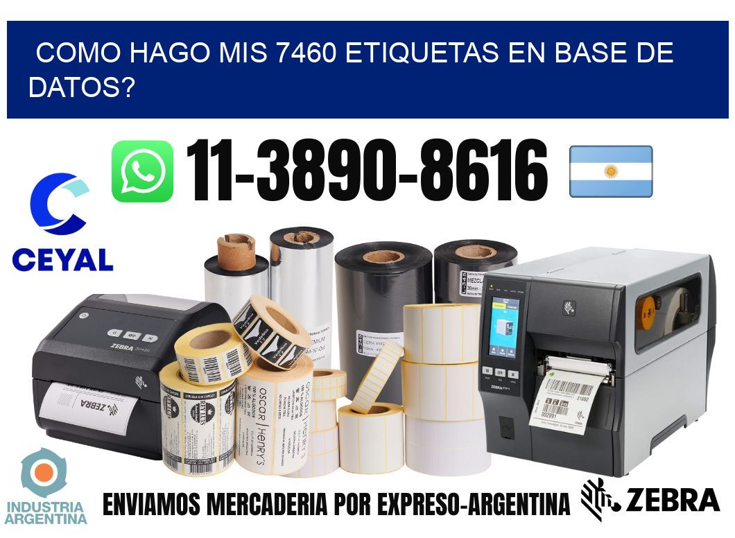 como hago mis 7460 etiquetas en base de datos?