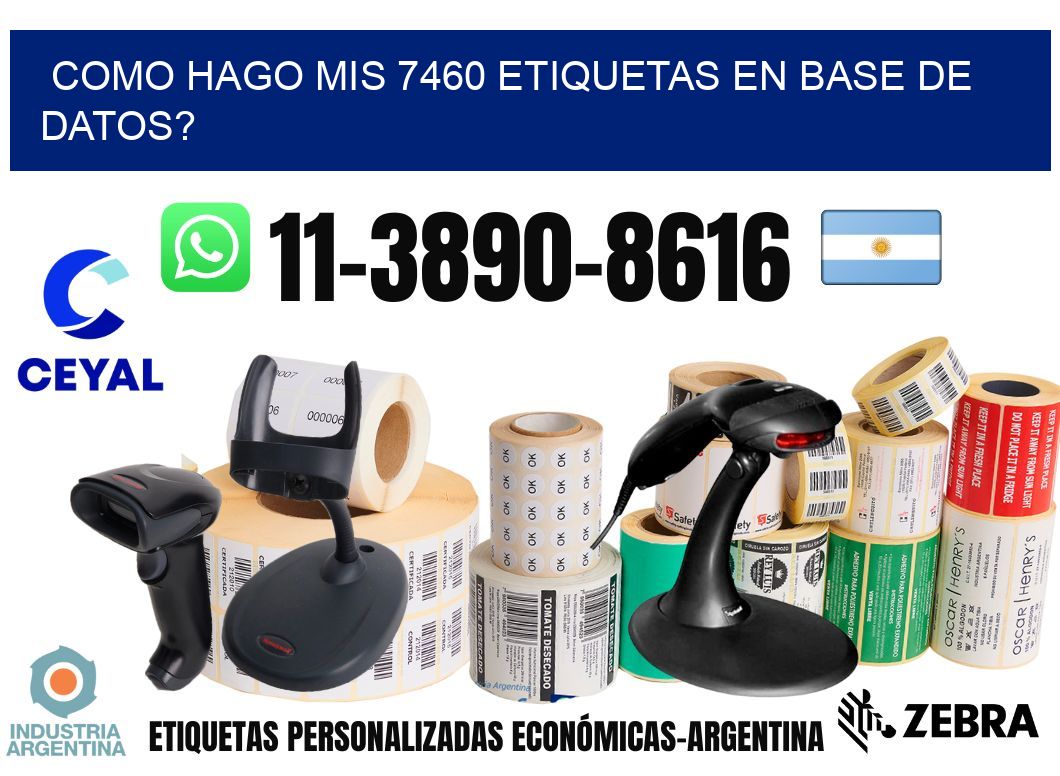 como hago mis 7460 etiquetas en base de datos?