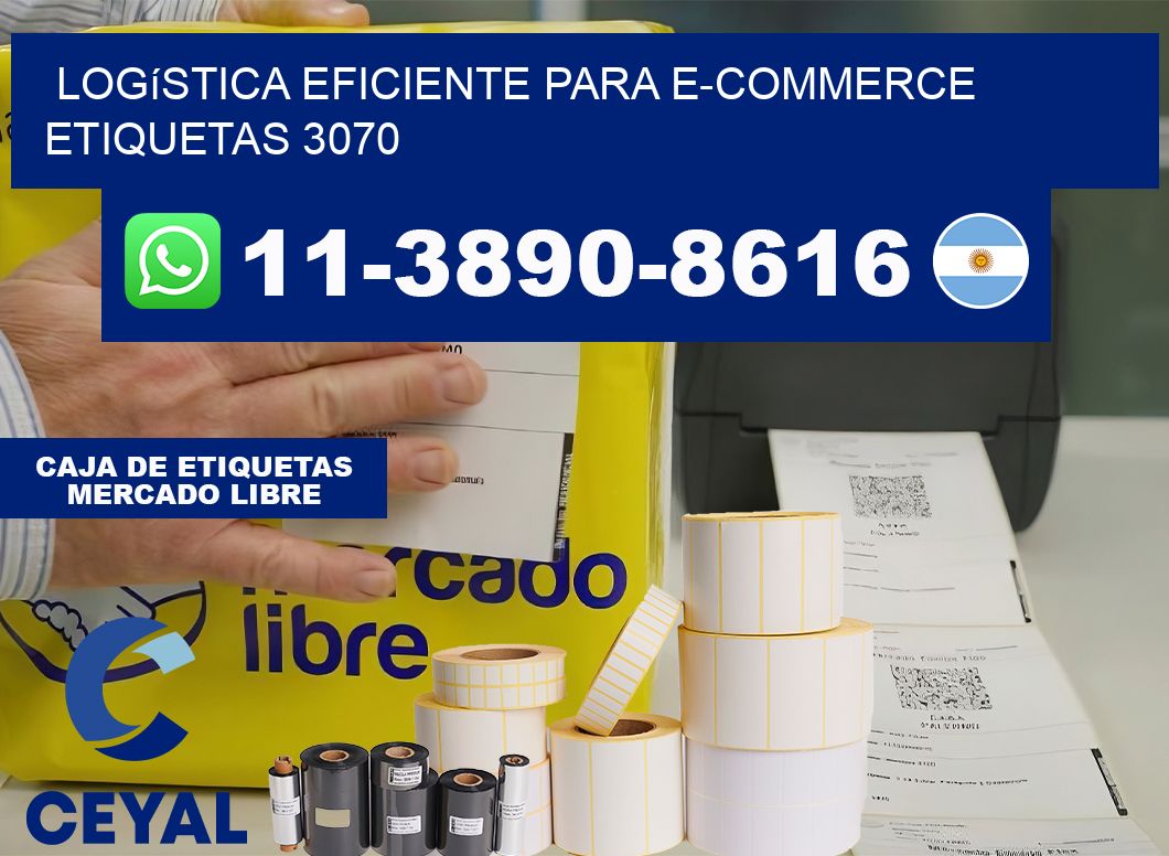 Logística eficiente para e-commerce  etiquetas 3070