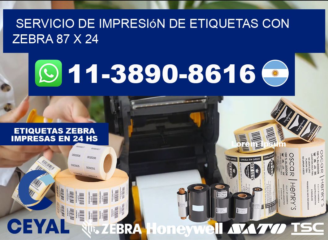 servicio de impresión de etiquetas con Zebra 87 x 24
