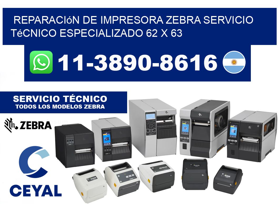 Reparación de Impresora Zebra Servicio Técnico Especializado 62 x 63
