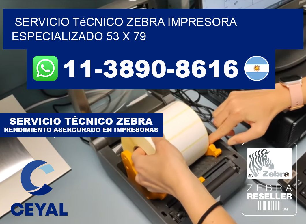 Servicio Técnico Zebra Impresora Especializado 53 x 79