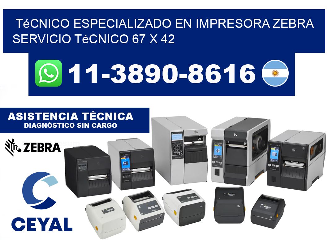 Técnico Especializado en Impresora Zebra Servicio Técnico 67 x 42