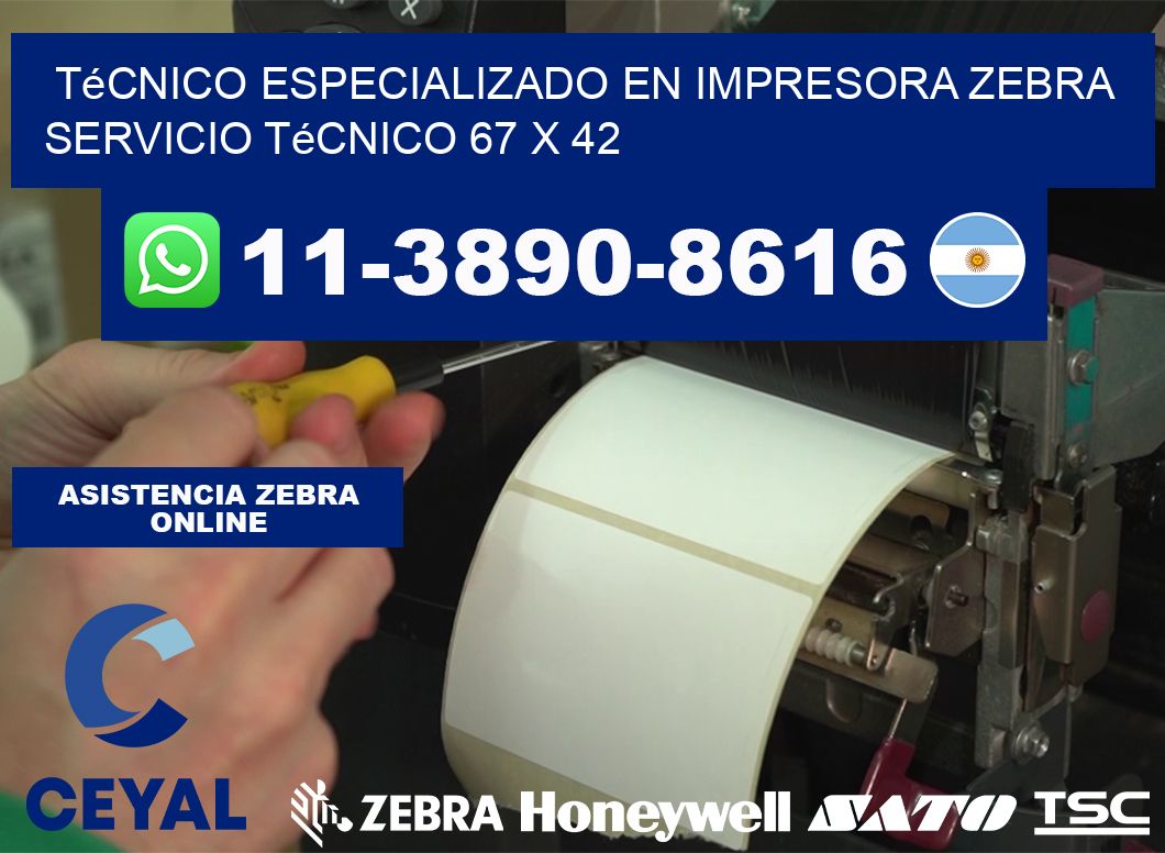 Técnico Especializado en Impresora Zebra Servicio Técnico 67 x 42