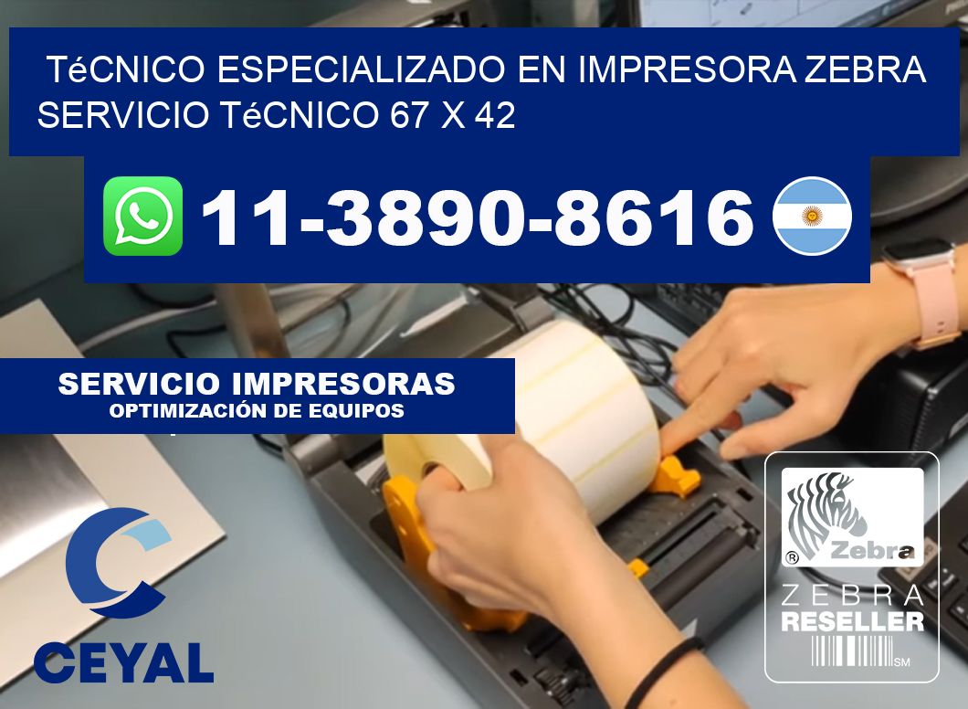 Técnico Especializado en Impresora Zebra Servicio Técnico 67 x 42