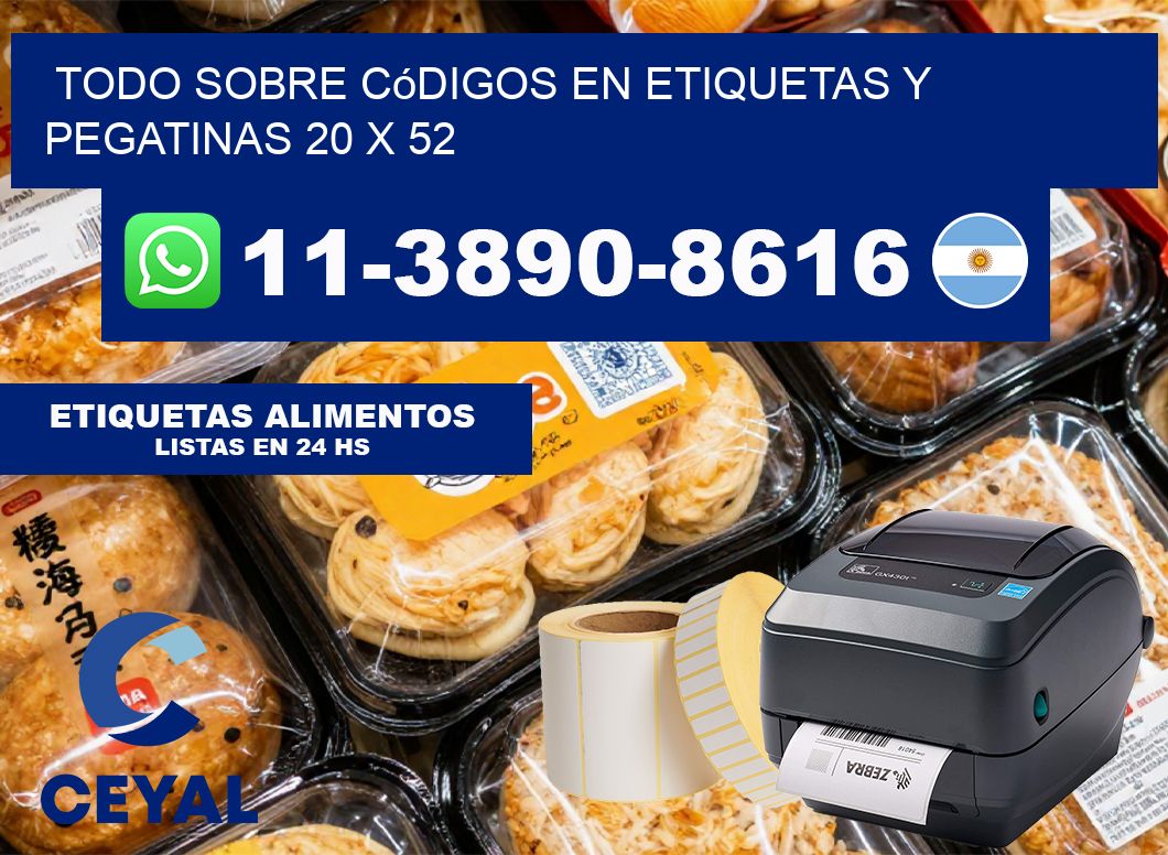 Todo sobre códigos en etiquetas y pegatinas 20 x 52