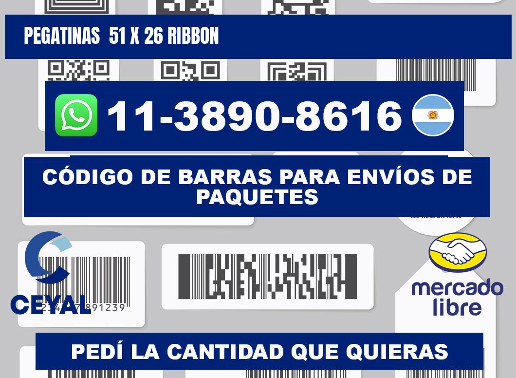 pegatinas  51 x 26 ribbon