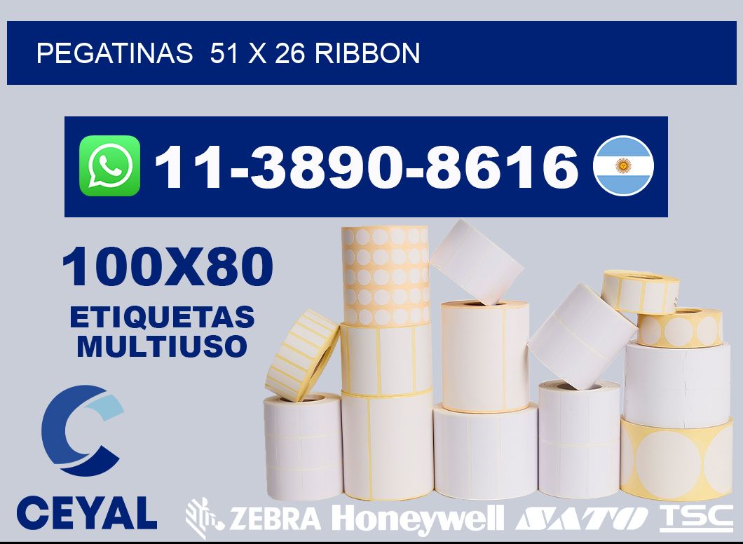 pegatinas  51 x 26 ribbon