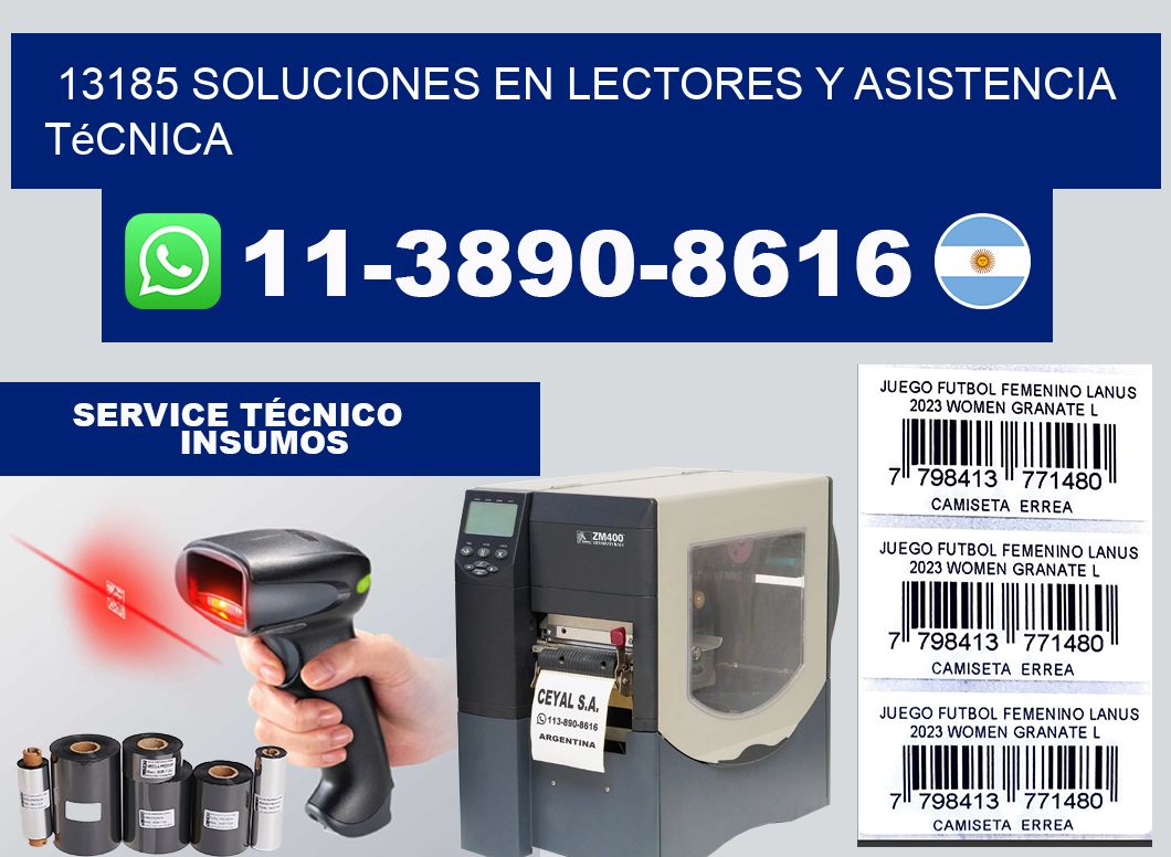 13185 Soluciones en Lectores y Asistencia Técnica