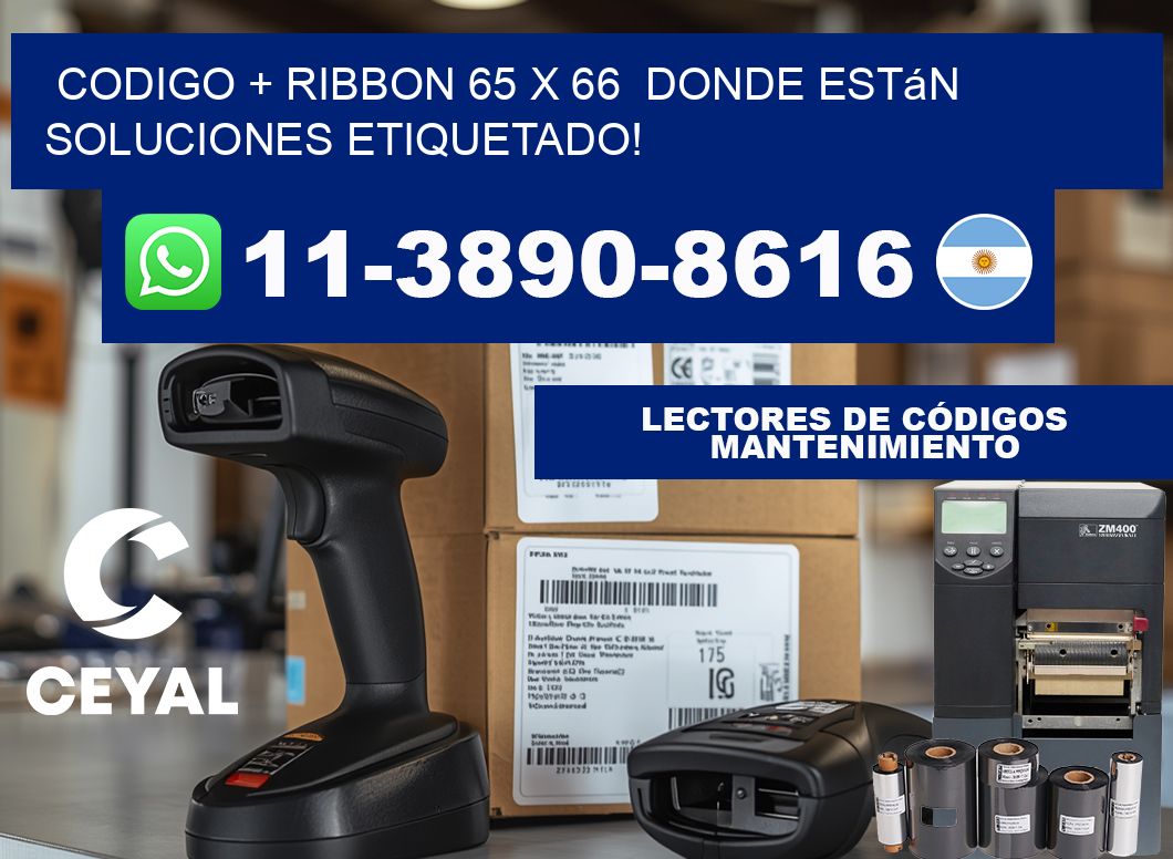 codigo + ribbon 65 x 66  donde están soluciones etiquetado!