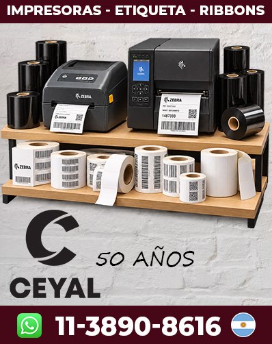 COMO UTILIZAR RIBBON RESINA – Encontrá lo que necesitás